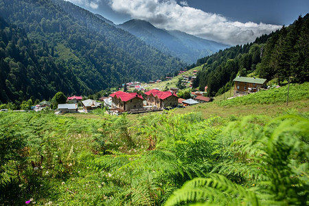 土耳其Rize的Ayder高原景观Ayder谷是夏季旅游的热门目地图片