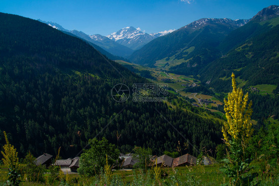 瓦莱斯的瑞士阿尔卑山图片