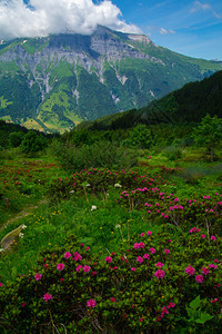 法国阿尔卑斯山景观图片