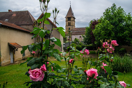 弗雷兹卢瓦尔的典型村庄图片