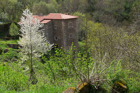 Auvergne的典型高岩井村图片