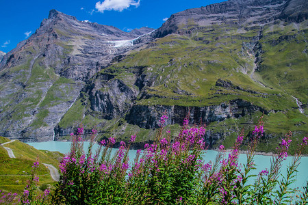瑞士阿尔卑斯山中背景图片