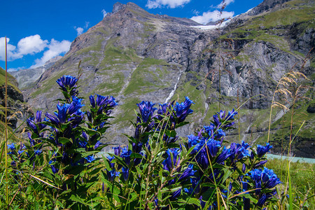 瑞士阿尔卑斯山中背景图片