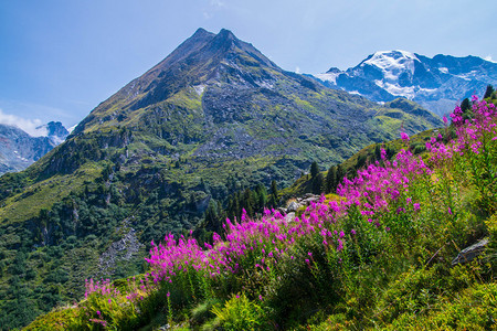 瑞士阿尔卑斯山景观背景图片