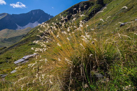 意大利阿尔卑斯山的景观背景图片