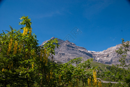德博朗瓦拉斯瑞士背景图片