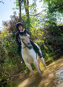 在河里骑着马的年轻女子美丽的骑手和马图片