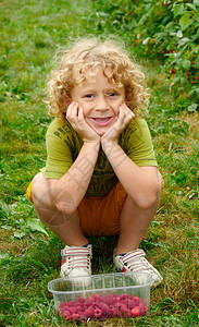 一个金发小男孩在花园里摘草莓图片