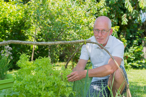 一个英俊的老人在花园里图片