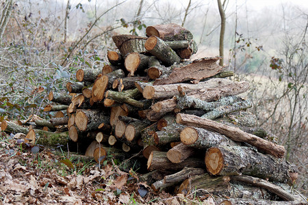 木火土金水图片背景