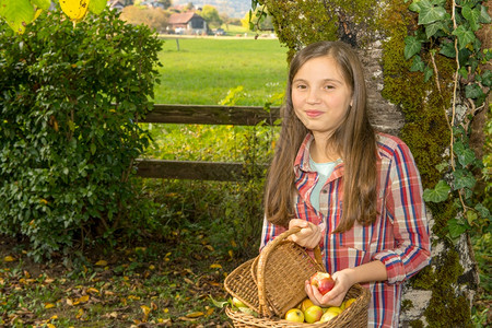 在花园里摘苹果的年轻少女背景图片