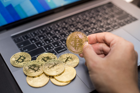 比特币丛林法则图片_比特币丛林法则图片及价格
