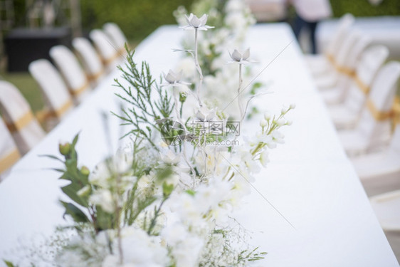 白结婚花背景和装饰图片