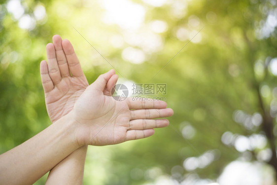 世界和平日人类在绿色背景中的手图片