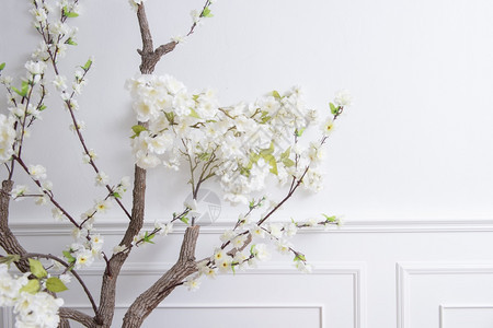 白色婚礼背景上花的优美室内装饰图片