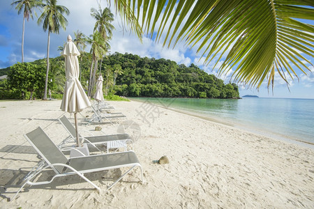 热带海滩绿化和白色沙滩的休息椅风景美丽图片
