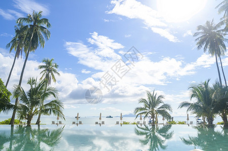 美丽的风景游泳池与绿色热带花园在舒适的度假胜地菲菲岛泰国图片