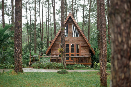 在雨季美丽的天然松树林中有一栋木质的乡村房屋图片