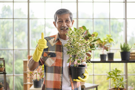 快乐的亚洲退休老人在家里的花园种植物的肖像图片