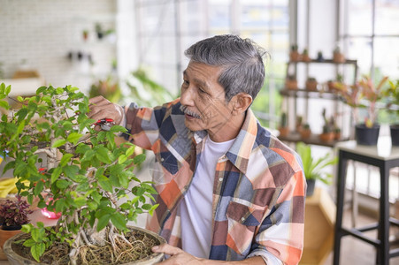 快乐的老年亚洲退休男子正在放松和享受休闲活动在家里的花园图片