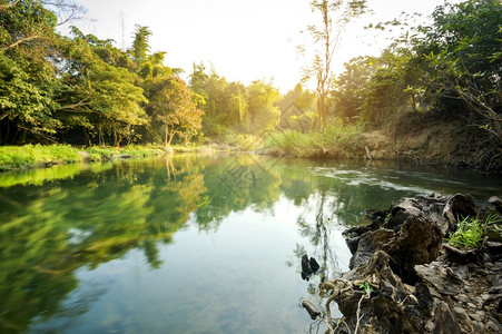 green orangewonderfuldayplanthikingamazingmountainlakeplantsrelaxcleanshines背景