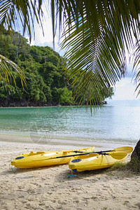 热带海滩绿和白色沙的美景与蓝色天空相对泰国菲岛的玛雅湾热带海滩黄和白沙对蓝天空的玛雅湾美景泰国菲岛的玛雅湾图片