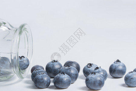 白背景蓝莓图片