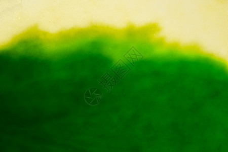 绿叶的宏观背景图片
