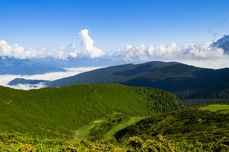 阳光明媚的日落清蓝天空和绿草地图片