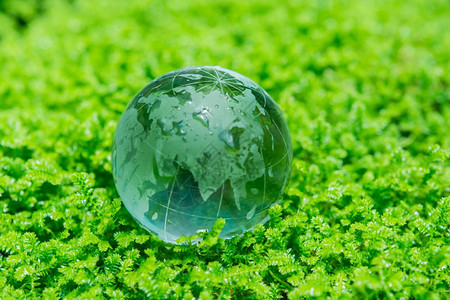 绿色草地环境概念玻璃球图片