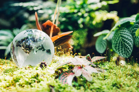 关于自然背景的草林全球玻璃环境日概念图片