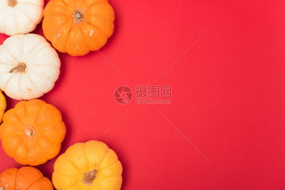 万圣节和感恩日南瓜和红背景的叶并有供使用的复制空间图片