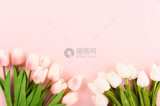 女节快乐母亲概念顶层视野平的粉红背景郁金花复制文本空间图片