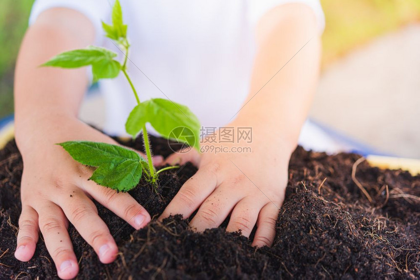 世界环境日概念亚洲可爱的小快乐男孩手在绿花园背景的黑土上种植小树图片