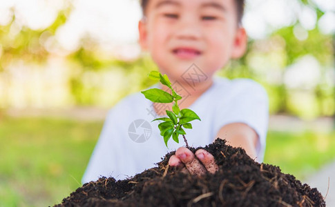 世界环境日概念亚洲可爱的小快乐男孩手在绿花园背景的黑土上种植小树图片