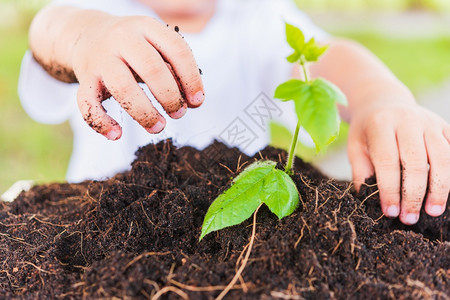 世界环境日概念亚洲可爱的小快乐男孩手在绿花园背景的黑土上种植小树图片