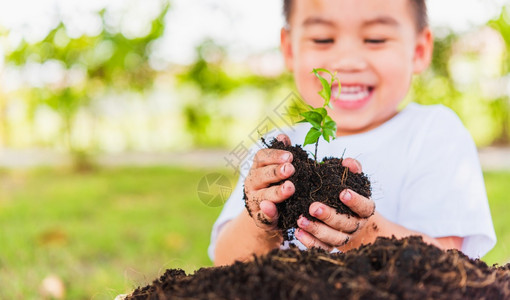 世界环境日概念亚洲可爱的小快乐男孩手在黑土上抓着年轻树准备计划绿色花园背景图片
