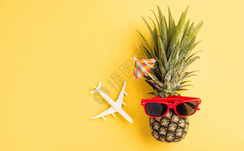 菠萝与飞机玩具的造型图片