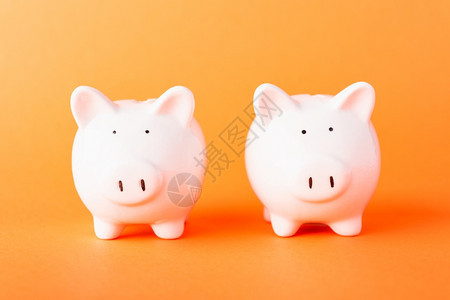 国际友谊日前线两家小白肥猪银行摄影棚拍以橙色背景隔离复制使用空间金融存款储蓄概念图片