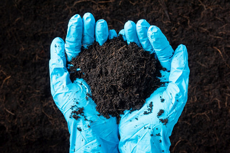 农或女研究员手握农民或女研究员手戴套肥沃的黑土用于农业或种植世界土壤日概念地球和手生态环境图片
