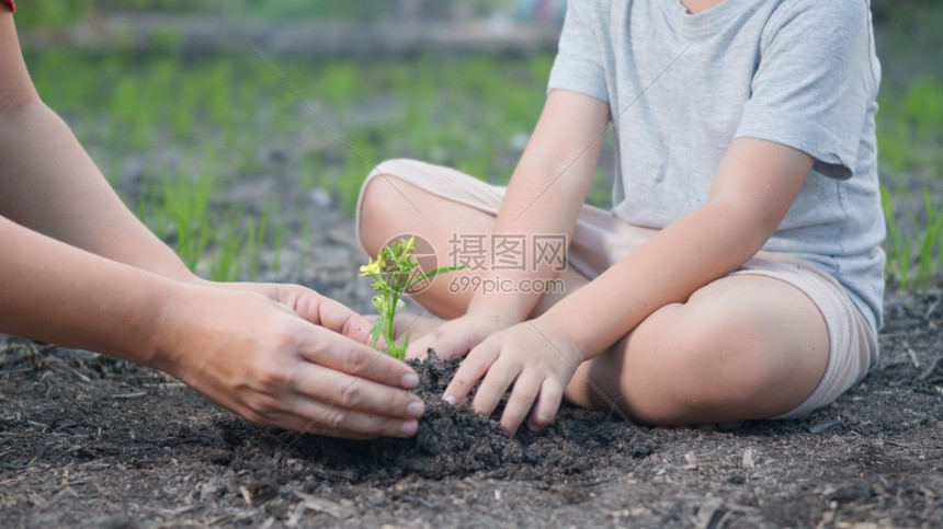 儿童与母亲早上手种植幼树森林环境地球日和新生命概念慢动作图片