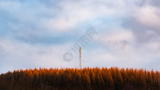 新塔楼建在山丘上森林雷达3G4GLTE在农村的无线电马斯特信增长概念新塔建在山丘上森林雷达3G图片
