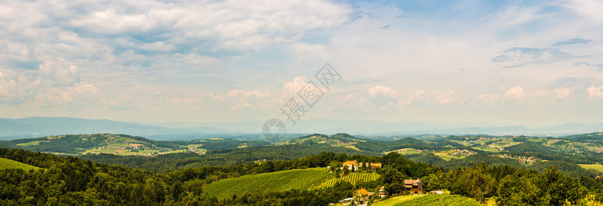 VineyardspanoramaLeibnitz地区著名的目葡萄酒国奥利南施蒂里亚州旅游目的地葡萄作物和山脉的绿Leibnit图片