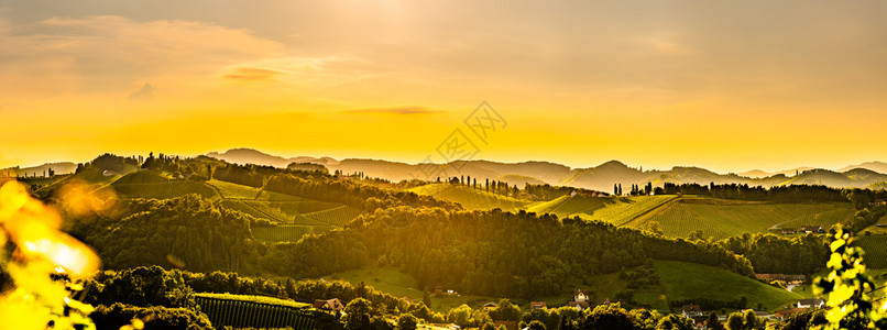 南StyriaVineyards风景全奥地利加姆茨附近的埃克伯格风景夏季日落时在葡萄园景色旅游目的地夏季在南Styria风景场色图片