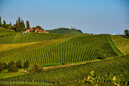 南施蒂里亚葡萄酒国旅游点奥地利葡萄酒国图片