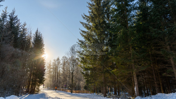 在奥地利施蒂里亚伯尔特的拉戈斯和平的雪林地貌旅游目的湖格鲁纳冬季霍施瓦布的石灰岩阿尔卑斯山旅行地点奥利施蒂里亚伯尔特拉戈斯冬季图片