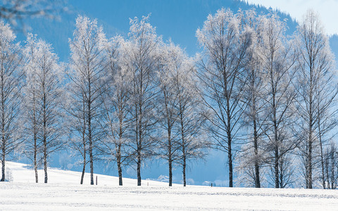 阿尔卑斯旅游点特拉戈斯的雪景图片
