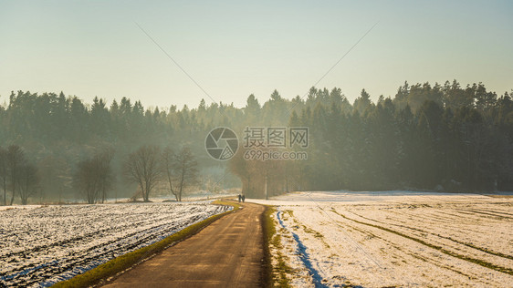 冬季寒冷的田间道路图片