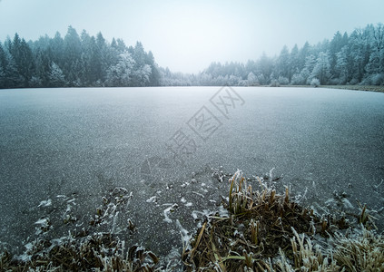 寒冷的湖泊景观与冬季的森林树木和草地上的霜冬季背景冷冻的湖泊观与冬季的森林树木和草地上的霜图片