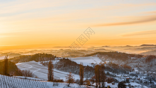 葡萄园上方的日出风景葡萄园上方是南StyriaAustriaLibenitz地区南Slovenia的雾谷查看葡萄园上方的雾谷南S图片